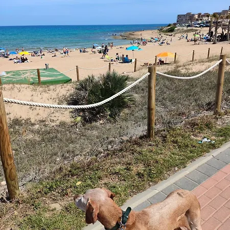 Madisona Torrevieja